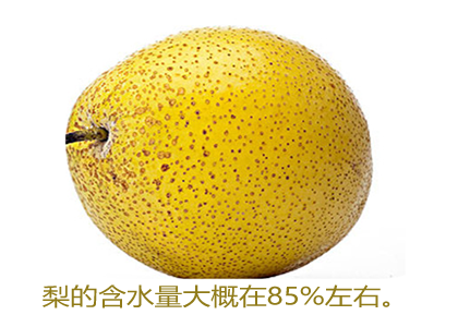 20.png 20.png