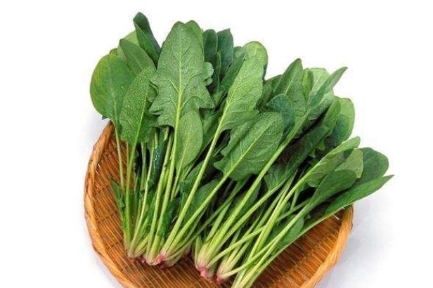 菠菜吃了会得结石吗 草酸成分生成沉淀